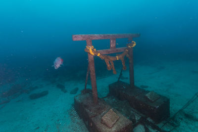 View of an abandoned boat