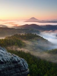Autumn sunrise above above forest, fall colorful valley full of dense mist colored with hot sun rays