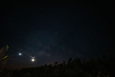 Low angle view of silhouette trees against sky at night