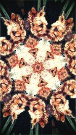 Full frame shot of white background