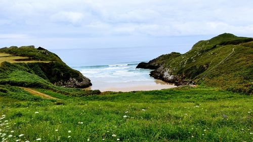 Scenic view of sea and green landscape against sky