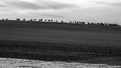 Group of people on field against sky