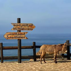 View of signboard by sea against sky