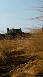 Scenic view of field against clear sky