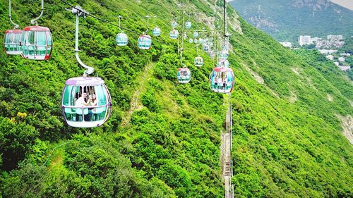 View of trees and mountain range