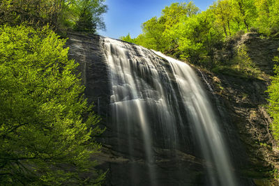 Scenic view of waterfall in forest