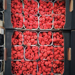 Directly above shot of raspberries in box for sale