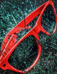 Close-up of red rose