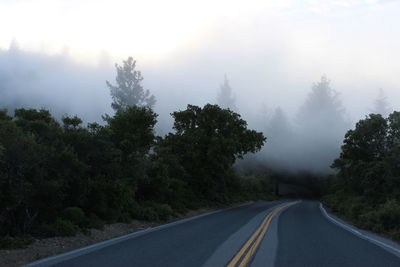 Road amidst trees against sky