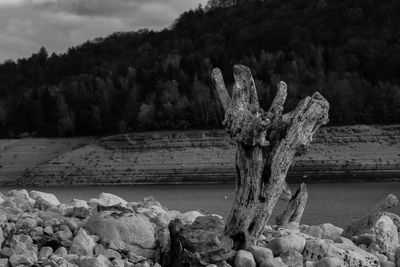 Scenic view of rocks by trees against sky