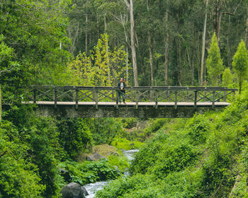 Woman on footbridge amidst trees in forest