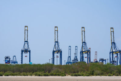 Cranes on field against clear sky