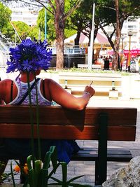 Woman holding flower pot on table