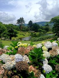 Scenic view of park against sky