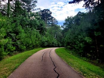 Empty road amidst trees against sky