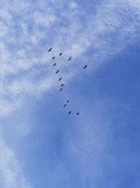 Low angle view of birds flying in sky