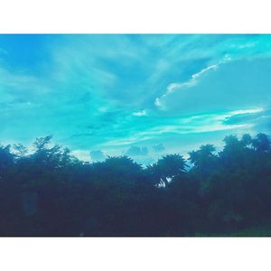 Low angle view of trees against sky