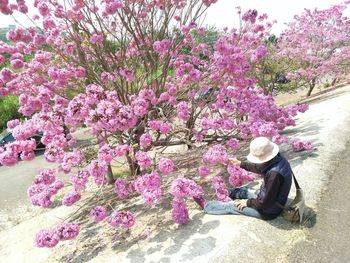 Woman sitting on pink flowering plant