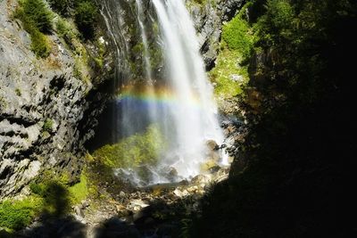 Waterfall in forest