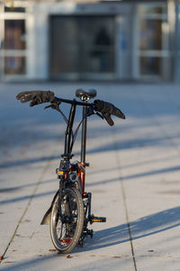 Bicycle parked on street by building