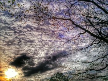 Low angle view of trees against cloudy sky