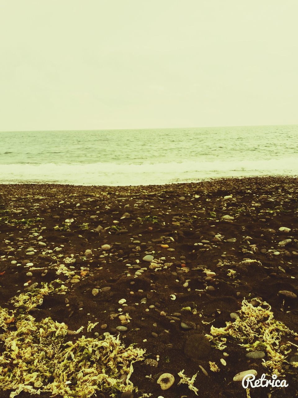 sea, horizon over water, beach, water, shore, clear sky, tranquility, sand, copy space, tranquil scene, scenics, nature, beauty in nature, sky, day, idyllic, coastline, outdoors, high angle view, remote