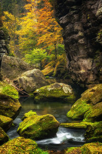 Scenic view of river flowing through rocks