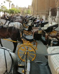 Horse cart on motorcycle