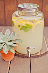 Close-up of fresh lemonade by potted plant on table