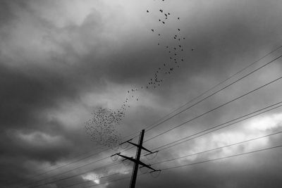 Low angle view of birds flying over cloudy sky