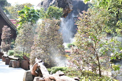 Scenic view of waterfall in forest