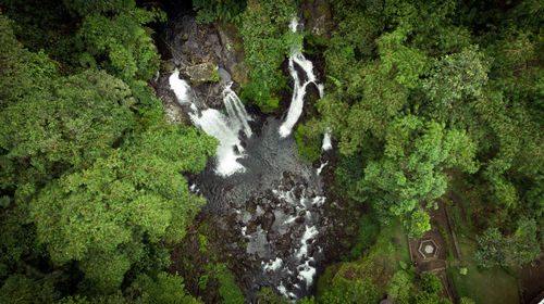 View of stream flowing through forest