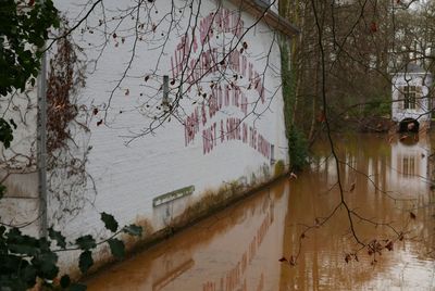 Graffiti on wall by trees against sky