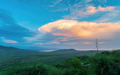 Scenic view of field against sky during sunset