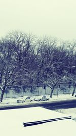 Bare trees against sky