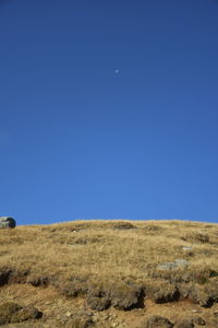 Scenic view of field against clear blue sky