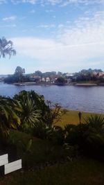 View of river with trees in foreground