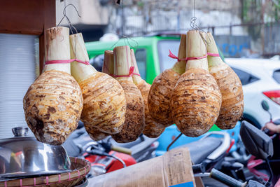 Close-up of talas bogor for sale