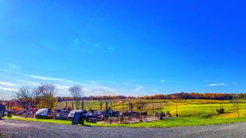 Scenic view of field against blue sky