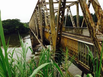 Plants against building