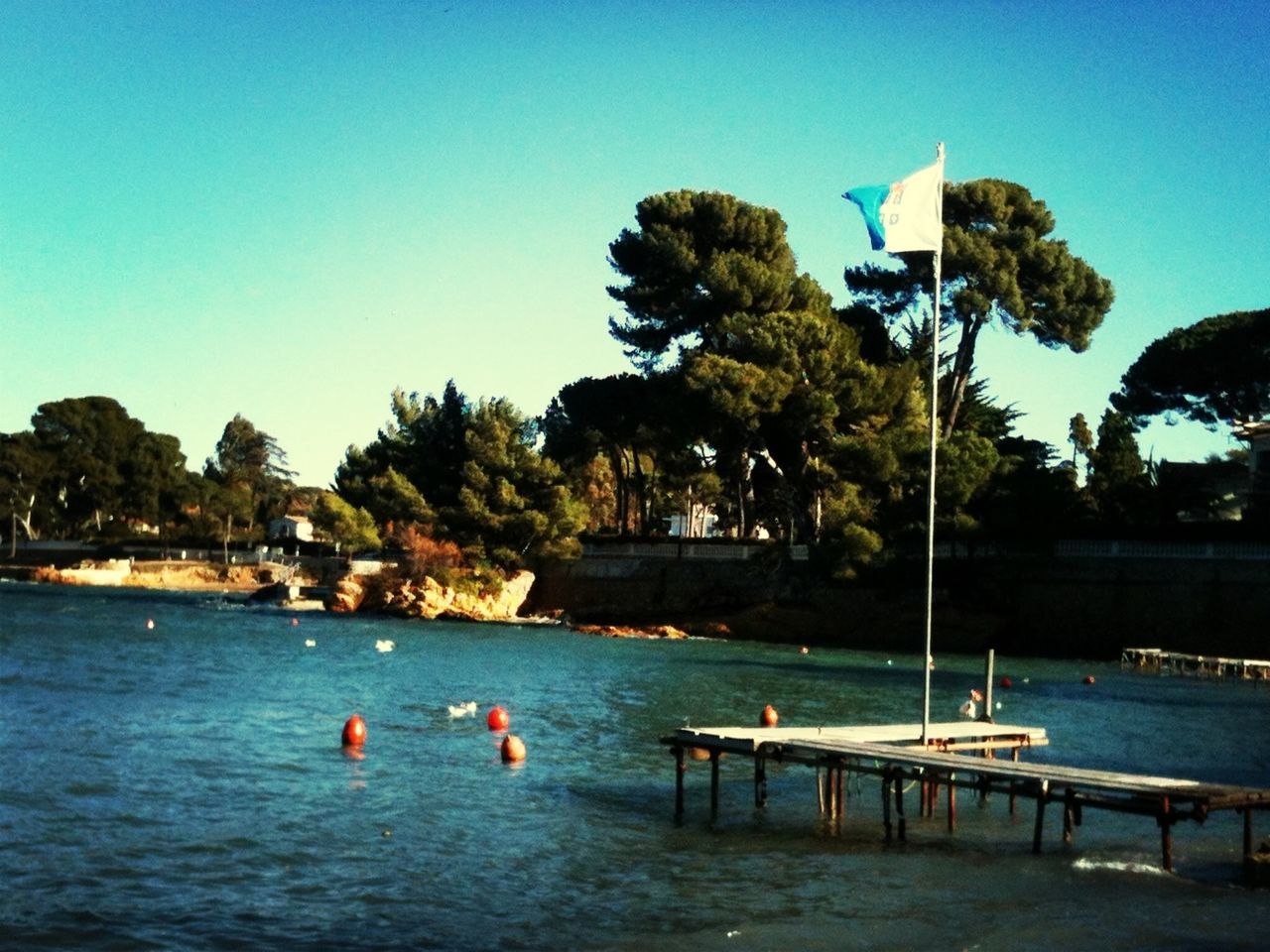 water, tree, clear sky, blue, tranquility, tranquil scene, sea, scenics, nature, copy space, beach, vacations, lake, beauty in nature, relaxation, incidental people, day, sunlight, nautical vessel, built structure