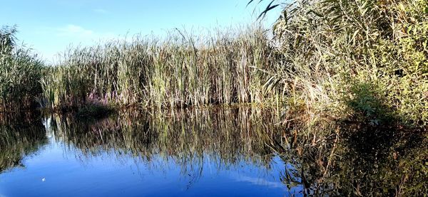 Scenic view of lake against sky