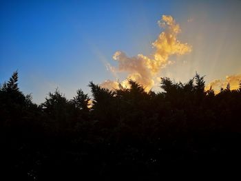 Low angle view of silhouette trees against sky during sunset