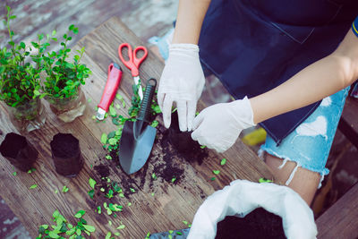 Midsection of botanist working at botanical garden