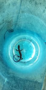 High angle view of man swimming in pool