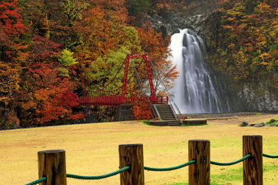 Scenic view of waterfall during autumn