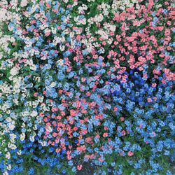 Full frame of flowers