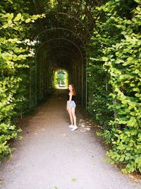 Woman standing on pathway along plants