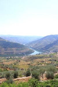 Scenic view of landscape against clear sky