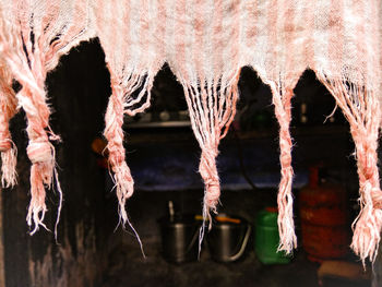 Close-up of icicles hanging from tree